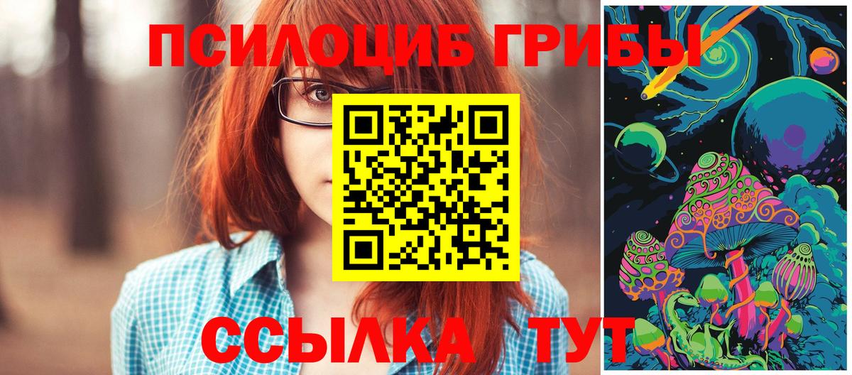 Псилоцибиновые грибы Psilocybe  Галлюциногенные грибы прущие грибы  где купить наркотик  Вход с VPN  Аксай 